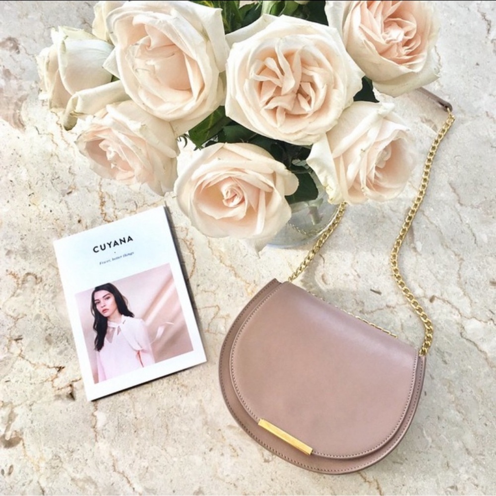 Cuyana Mini Chain Saddle Bag in Quartz Dusty Pink